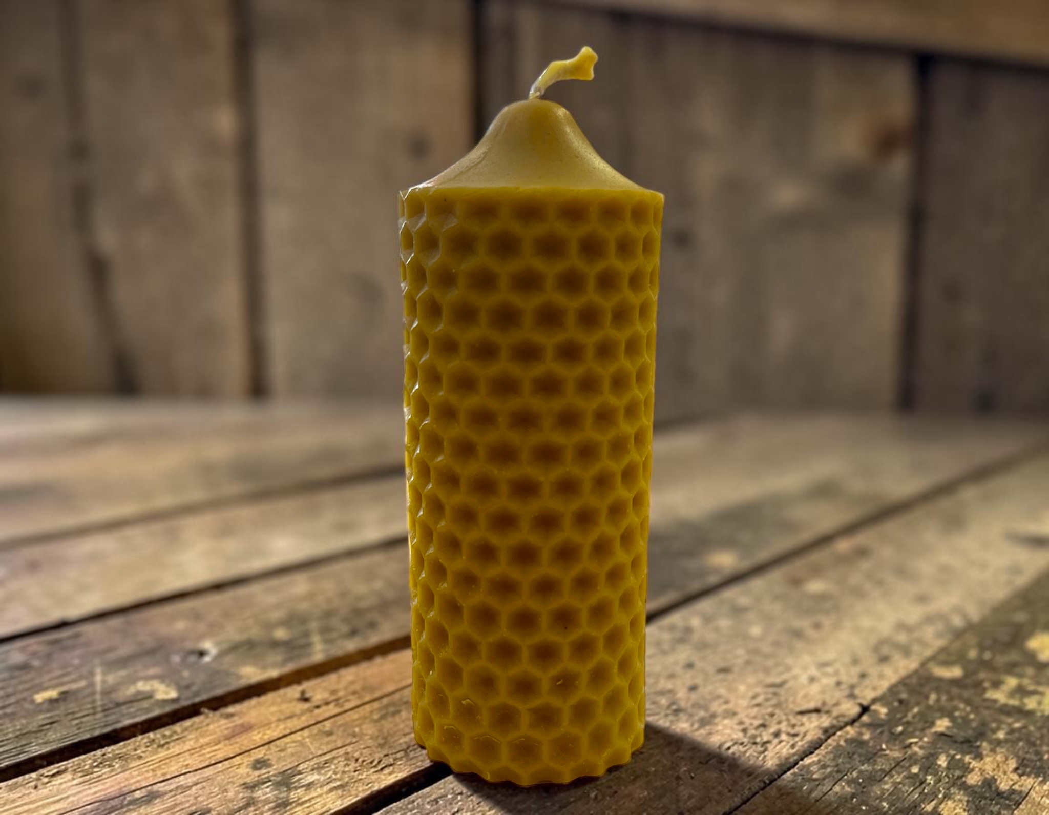 WALEC PROSTY PLASTER MIODU - obrazek 1