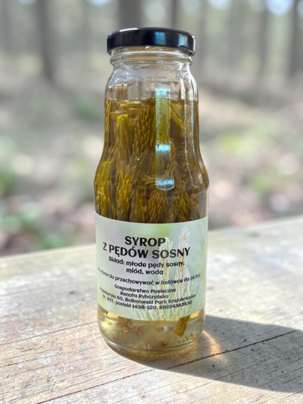 SYROP Z PĘDÓW SOSNY